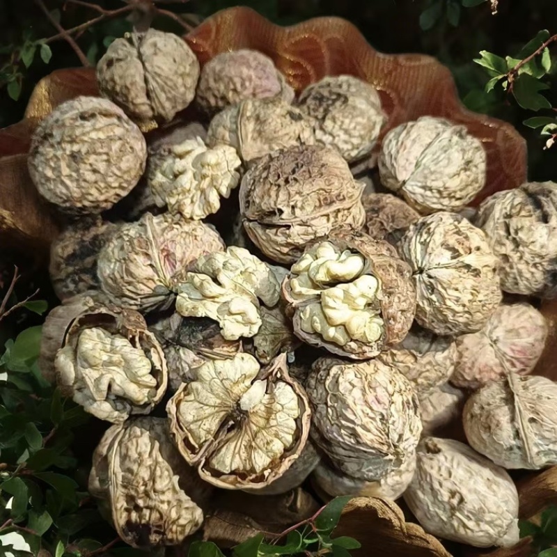 云南麻子果电商货地摊货都有
