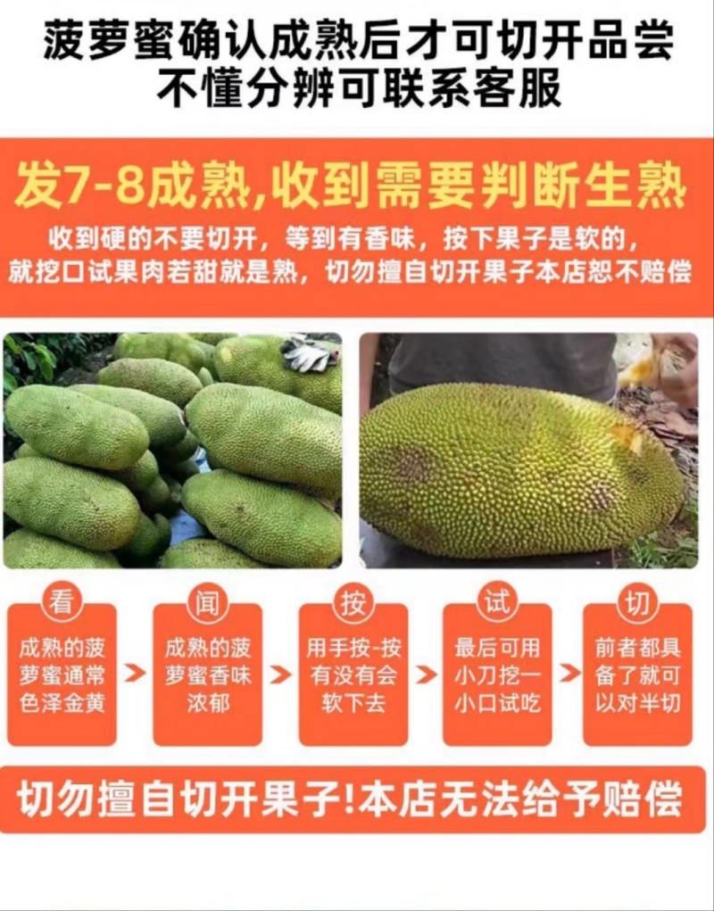 海南新鲜黄肉菠萝蜜非红菠萝蜜一件代发电商微商对接24时发