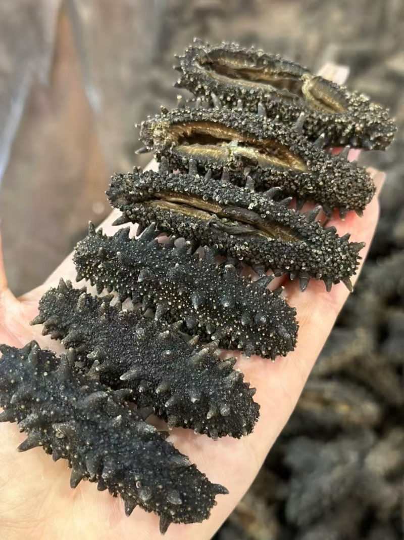 海参淡干盒装量大优惠一盒起包邮