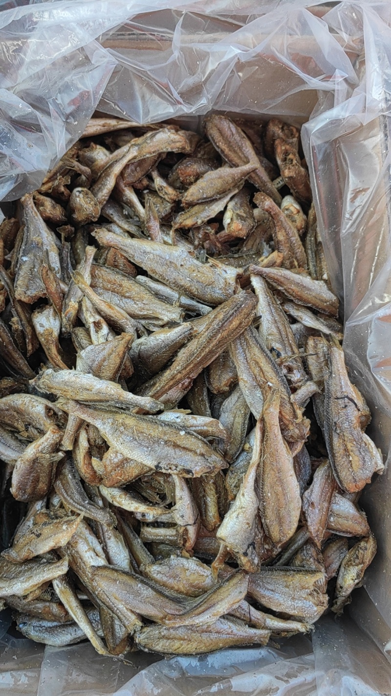 鱿鱼丝，鱿鱼条，鱿鱼片，烤鱼片，黄鱼酥，带鱼酥等各种鱼酥