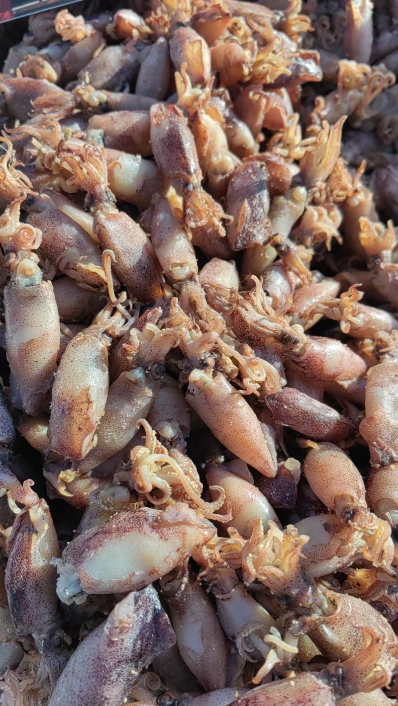 海兔子，熟的，干煸辣炒，做汤，炒菜，涮火锅