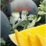 黑黄金无籽西瓜种子10克约150粒