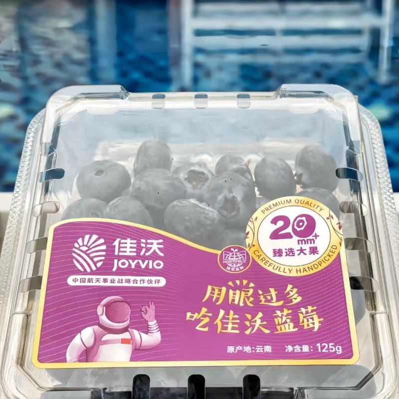 .佳沃蓝莓