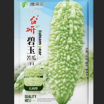 碧玉苦瓜种子耐寒抗热皮色绿白肉厚细脆口感好春秋均可种植