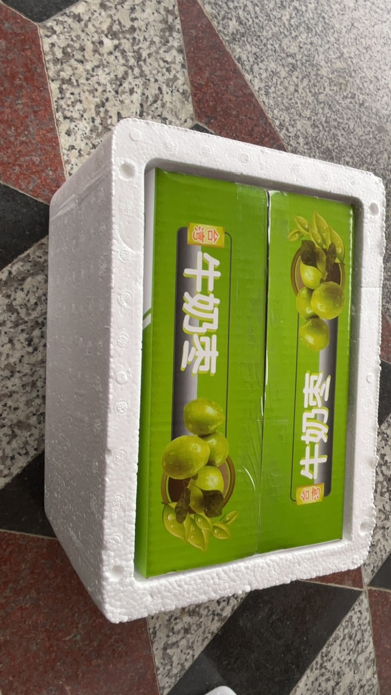 青枣福建漳州青枣牛奶枣口感好支持一件代发落地配