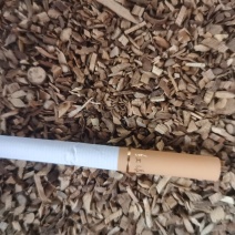 乌药颗粒