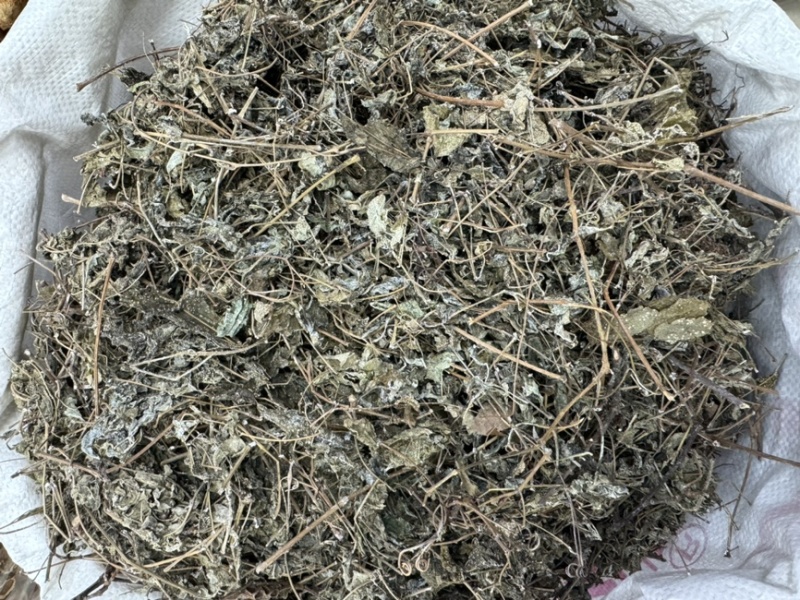 溪黄草溪黄茶嫩叶细梗不苦甘甜白茶