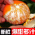 广西武鸣沃柑现摘新鲜桔子应季橘子孕妇件代发