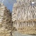 【精品推荐】三斤起批岷县本地党参新品，自然风干无硫！