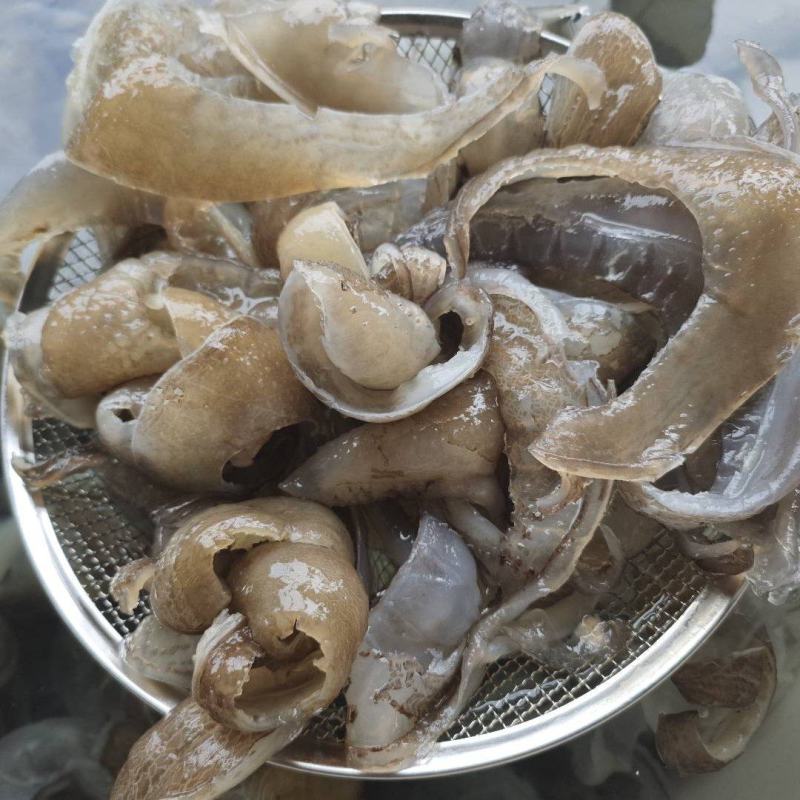 甲鱼裙边