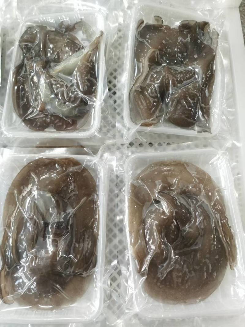 甲鱼裙边