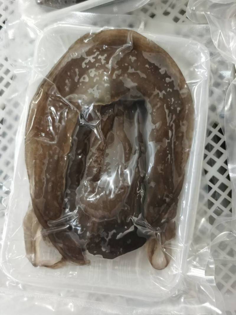 甲鱼裙边