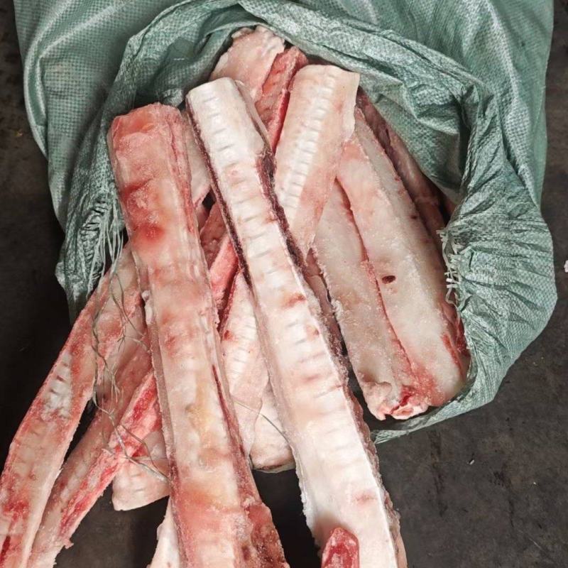 鲨鱼骨