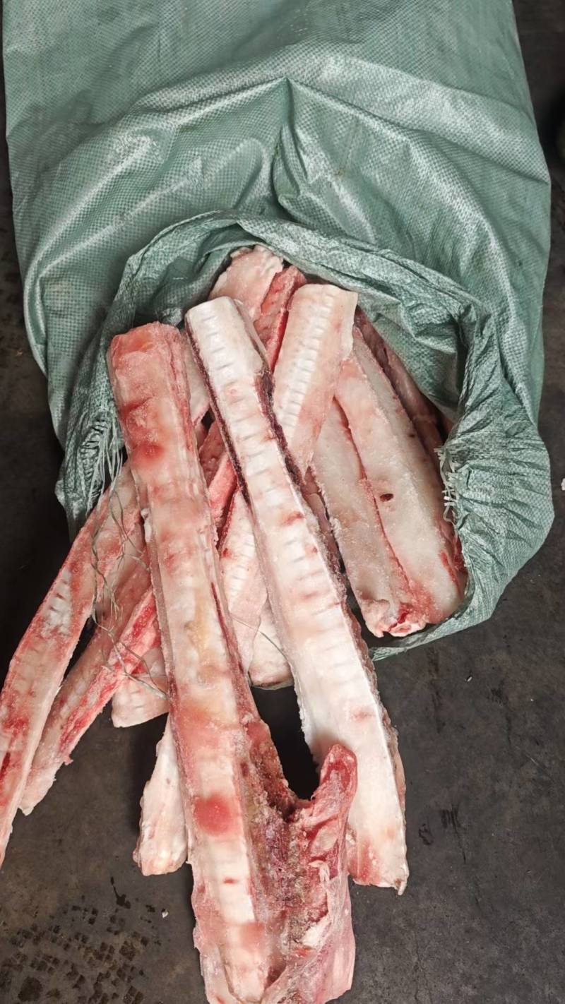 鲨鱼骨