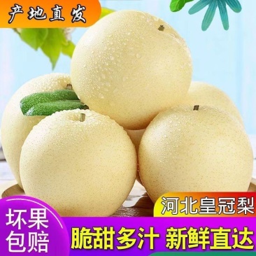雪梨皇冠梨雪花梨水果新鲜梨子应季水果批发整箱梨子薄皮包邮