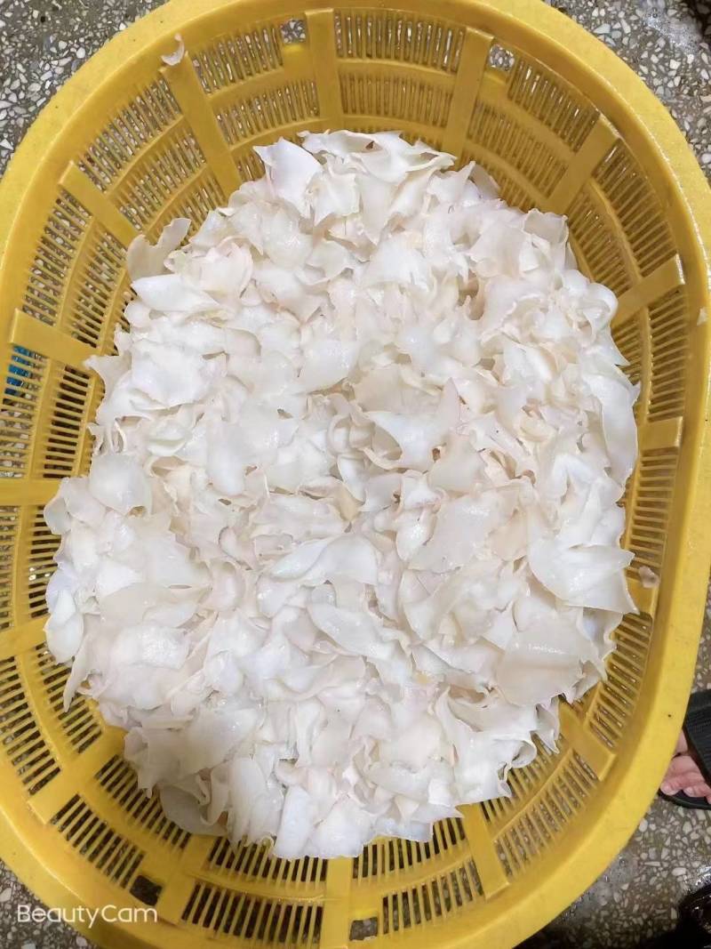 白螺片