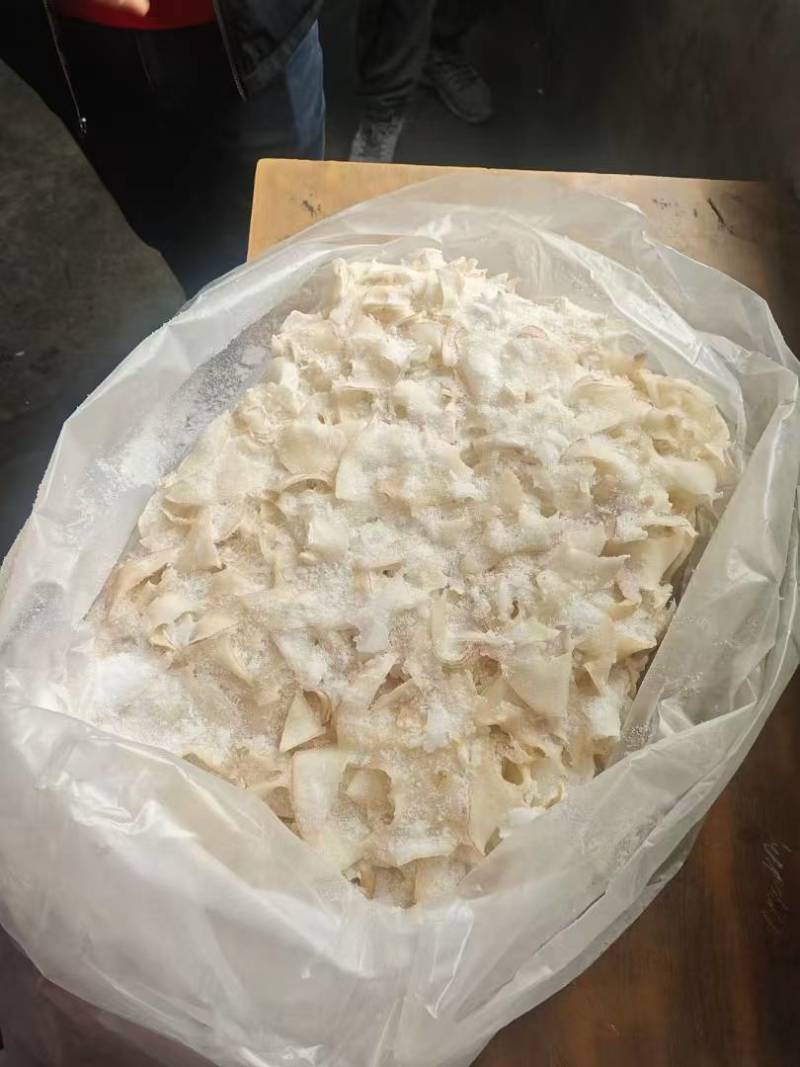 白螺片