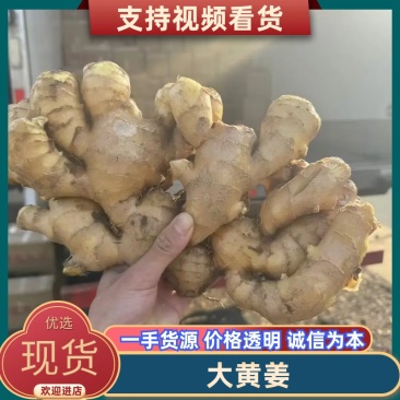大黄姜窖藏大姜产地批发大姜货源充足产地一手货源