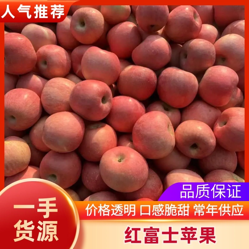 红富士苹果库存红富士苹果大量现货产地批发