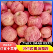 山东红富士苹果库存红富士苹果大量现货产地一手货源