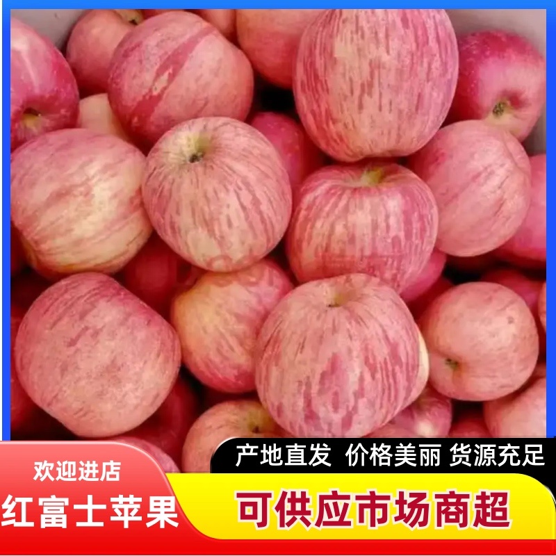 山东红富士苹果库存红富士苹果大量现货产地一手货源