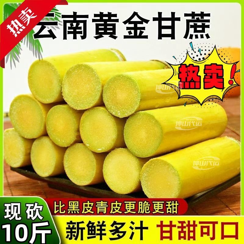 【脆甜薄皮长节中段】正宗云南黄皮甘蔗新鲜黄金水果批发1/