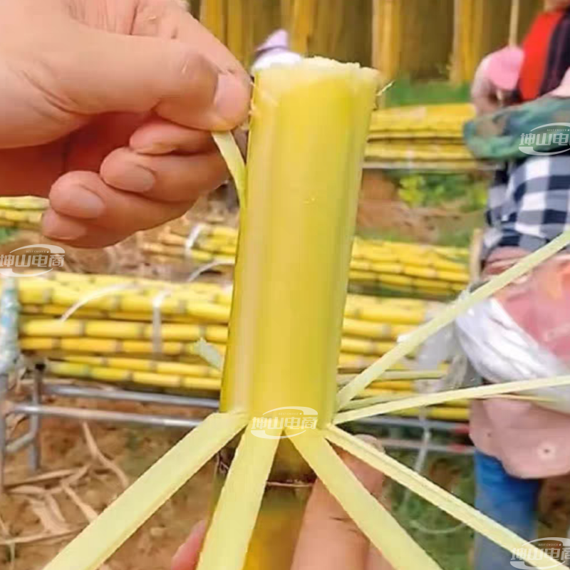 【脆甜薄皮长节中段】正宗云南黄皮甘蔗新鲜黄金水果批发1/
