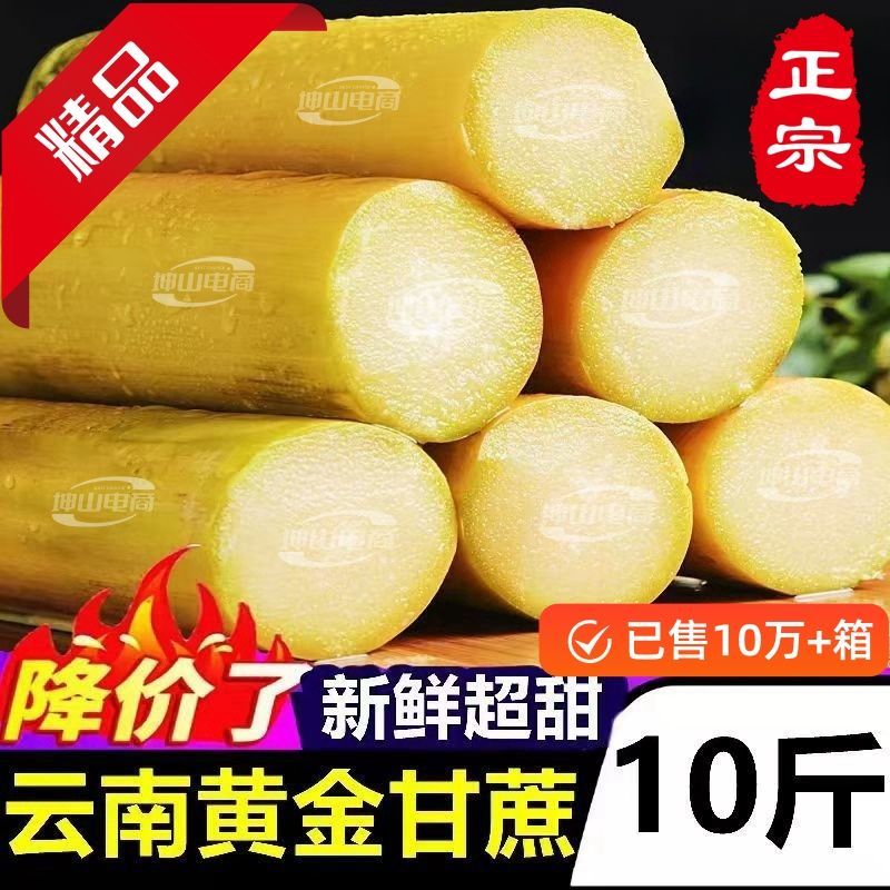 【脆甜薄皮长节中段】正宗云南黄皮甘蔗新鲜黄金水果批发1/