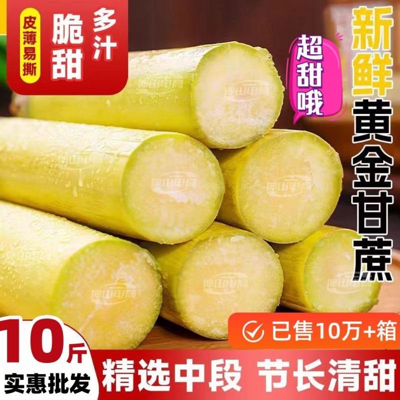 【脆甜薄皮长节中段】正宗云南黄皮甘蔗新鲜黄金水果批发1/