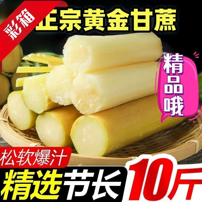 【脆甜薄皮长节中段】正宗云南黄皮甘蔗新鲜黄金水果批发1/