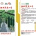 湘研黑实二号黑皮冬瓜种子芽率高条形好品质优
