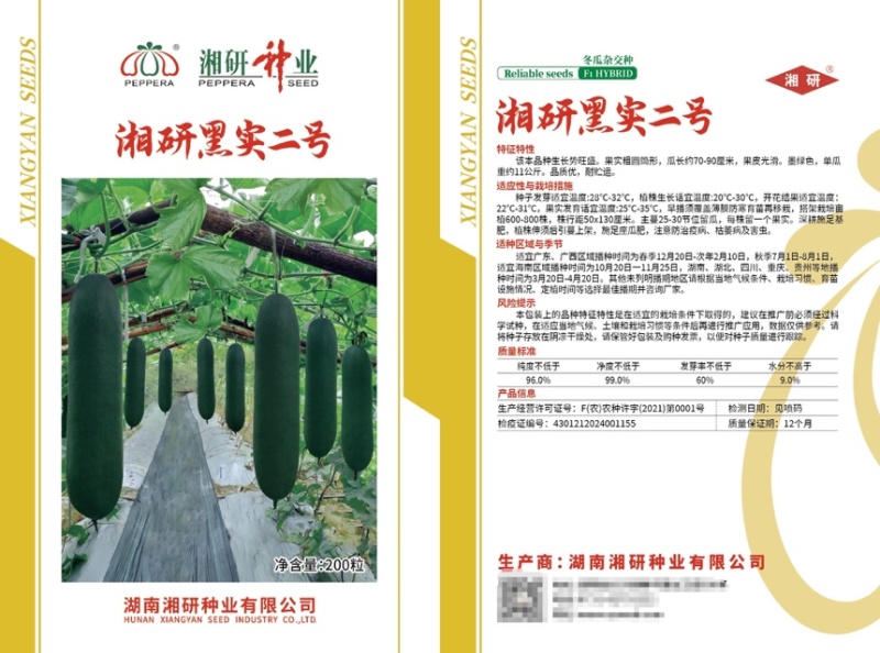 湘研黑实二号黑皮冬瓜种子芽率高条形好品质优