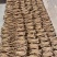 川西高原独角当归甜当归干货大量批发自然晒干品质