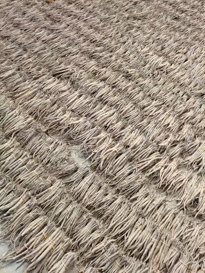 川西高原独角当归甜当归干货大量批发自然晒干品质