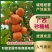 广西老沙糖桔，皮薄起沙18个糖，订园，按车采都可以
