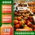 广西优质百亩沃柑上市每天可以供货3-5万斤