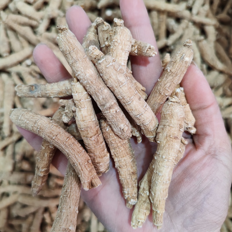 批发西洋参短条500克包邮花旗参泡水煮汤西洋参味浓
