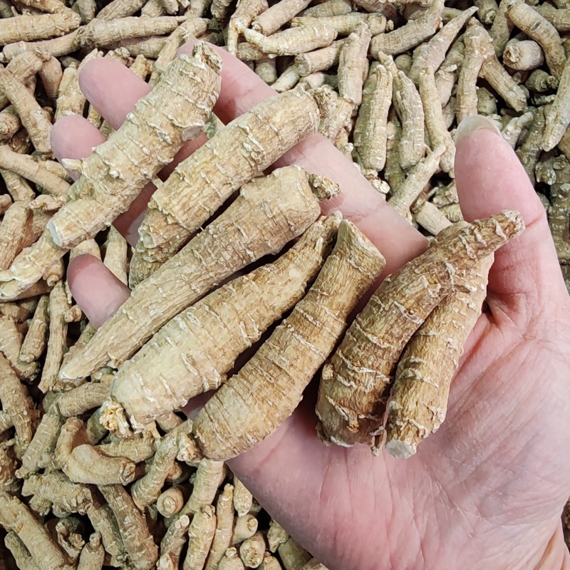 批发西洋参短条500克包邮花旗参泡水煮汤西洋参味浓