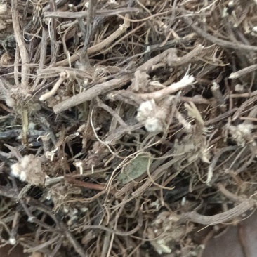 威灵仙产地云南，多种药材批发，代加工可配方