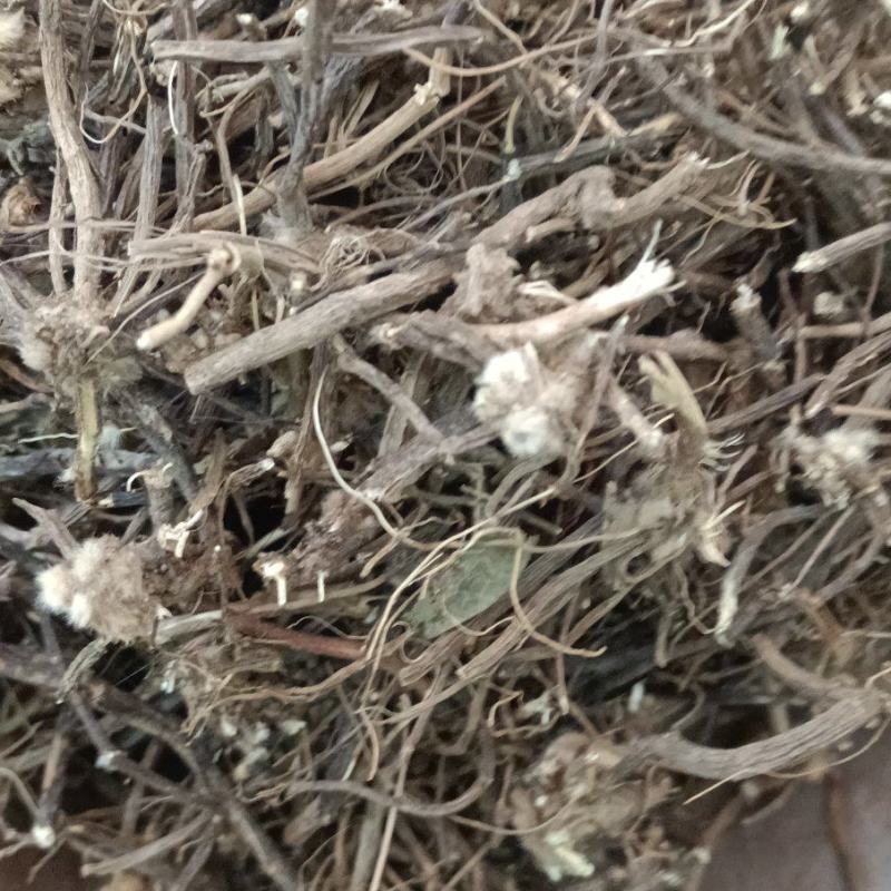 威灵仙产地云南，多种药材批发，代加工可配方
