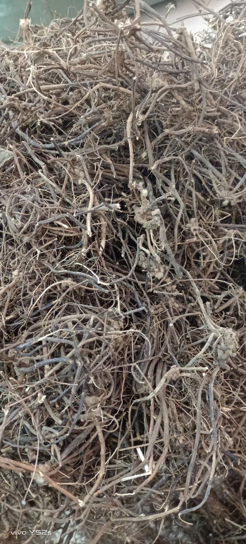 威灵仙产地云南，多种药材批发，代加工可配方