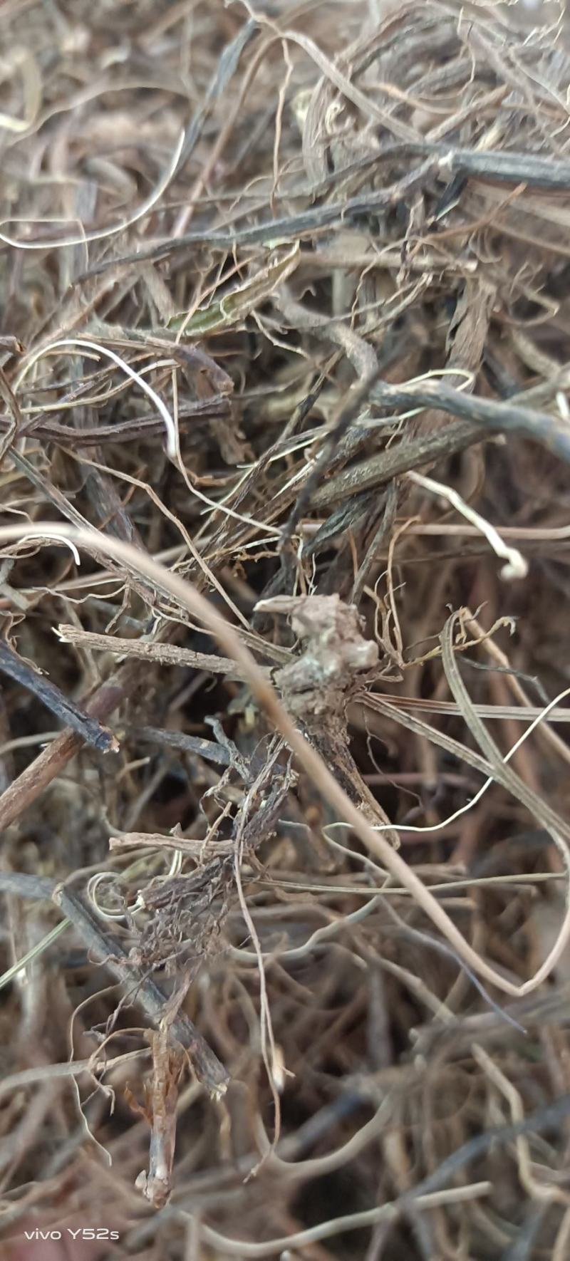 威灵仙产地云南，多种药材批发，代加工可配方