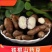 超划算】正宗温县白玉山药豆颗粒果子山药豆新鲜铁棍山药豆大