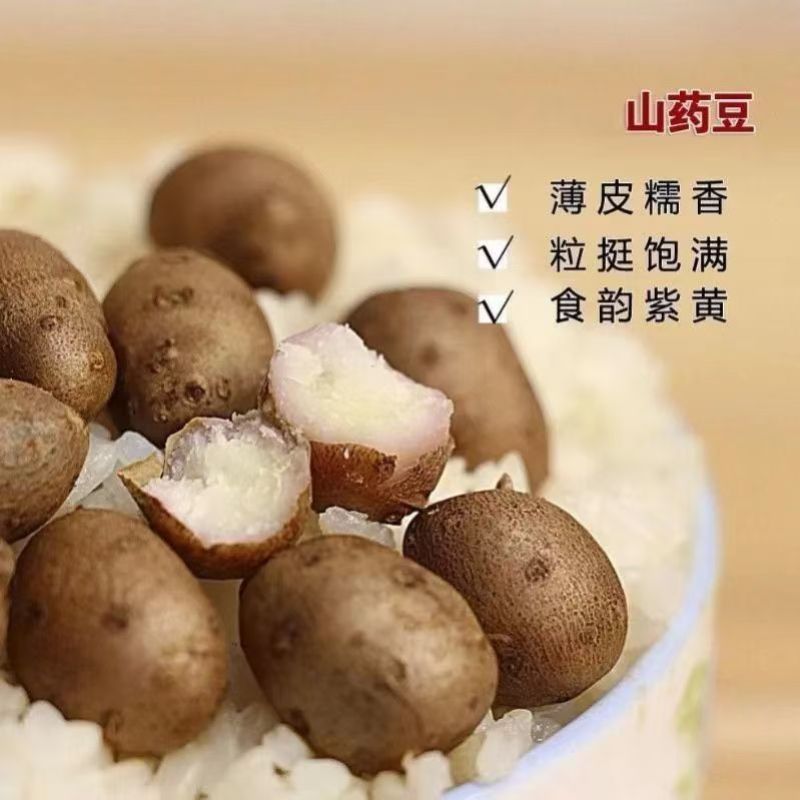 超划算】正宗温县白玉山药豆颗粒果子山药豆新鲜铁棍山药豆大