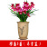 高端精品名贵浓香型兰花【紫罗兰】盆栽绿植好养紫色大花花卉