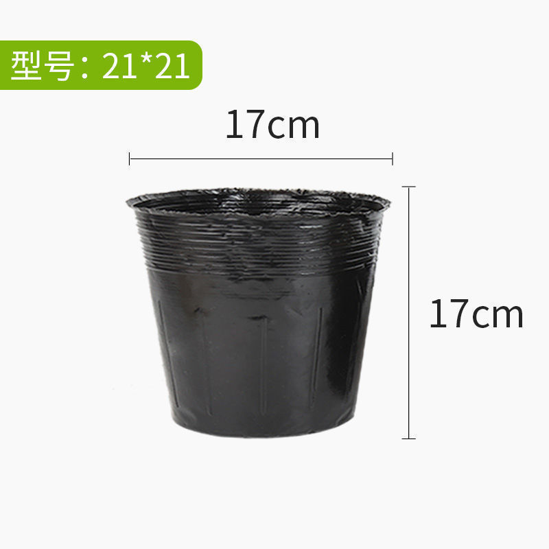营养杯育苗杯营养钵育苗袋10x10号2分