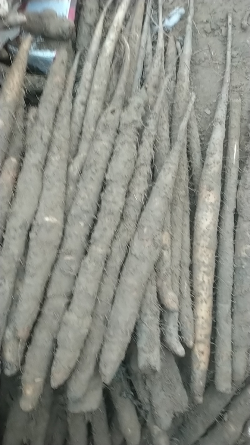 紫药打皮货