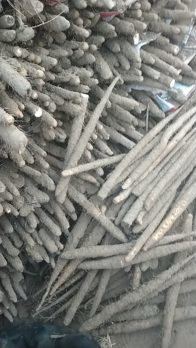 紫药打皮货