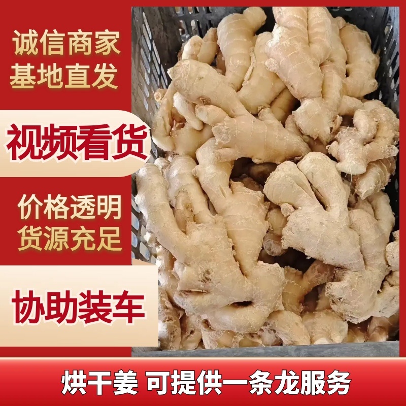 山东大姜烘干大姜产地批发版型大货源充足