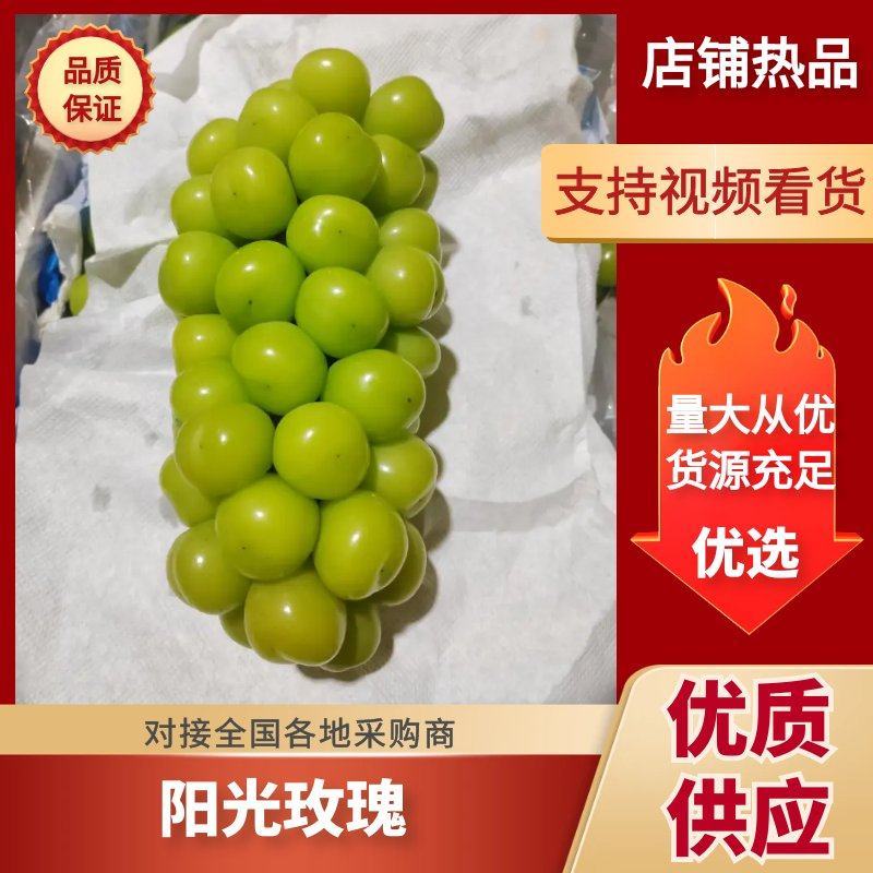 【量大优惠】河北阳光玫瑰葡萄产地直发品质保障